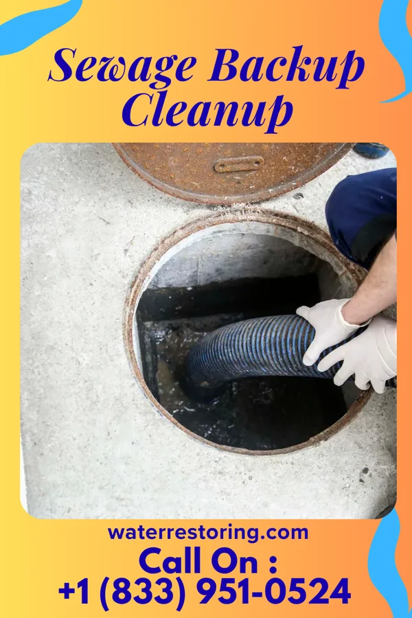 Sewage Backup Cleanup in Cumberland, OH