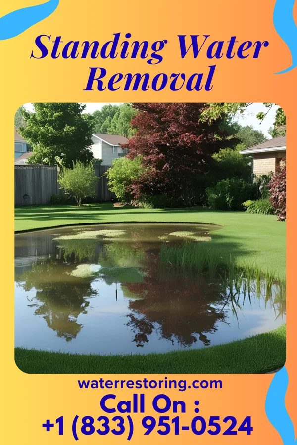 Standing Water Removal in Cumberland, OH